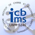ICBMS stethoscope
