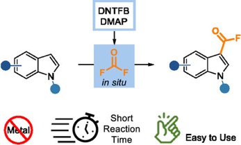 open70109-blkfxd-0001-m